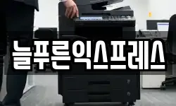 늘푸른익스프레스