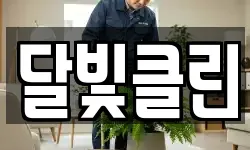 달빛클린