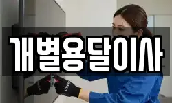 개별용달이사
