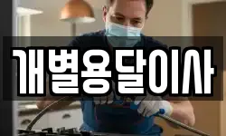 개별용달이사