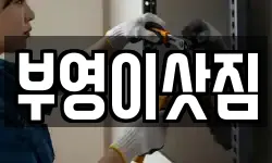 강원특별자치도 속초시 설악동 이사,용달이사,포장이사,원룸이사,보관이사