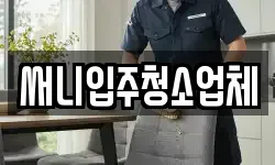 써니입주청소업체
