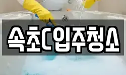 속초C입주청소