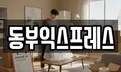 동부익스프레스