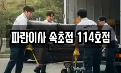 파란이사 속초점 114호점