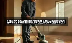 입주청소준공청소카페청소대행전문,소독방역건물정기관리
