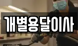 개별용달이사