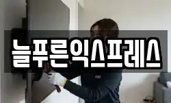 늘푸른익스프레스