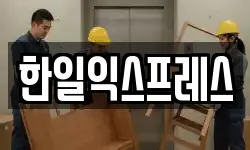 강원특별자치도 속초시 조양동 이사,용달이사,포장이사,원룸이사,보관이사