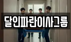 달인파란이사그룹