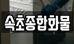 속초종합화물