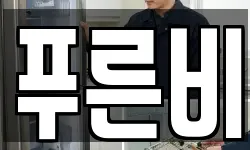 강원특별자치도 속초시 중앙동 청소,입주청소,사무실청소,에어컨청소