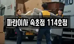 파란이사 속초점 114호점