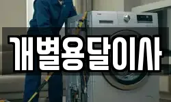 개별용달이사