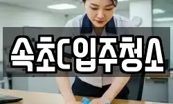 속초C입주청소