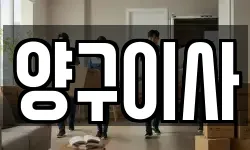 양구이사