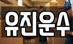 유진운수