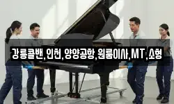 강릉콜밴,인천,양양공항,원룸이사,MT,소형