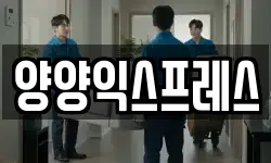 강원특별자치도 양양군 손양면 이사,용달이사,포장이사,원룸이사,보관이사