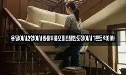 용달이사소형이사원룸투룸오피스텔반포장이사1톤트럭이사