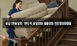 용달1톤용달차,1톤트럭,용달이사,원룸이사,반포장이사화물