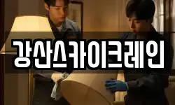 강산스카이크레인