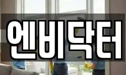 엔비닥터
