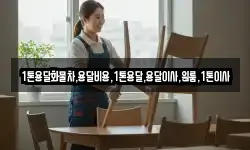 강원특별자치도 영월군 김삿갓면 이사,용달이사,포장이사,원룸이사,보관이사