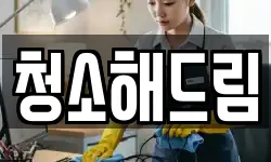 청소해드림