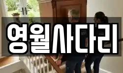 영월사다리