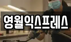 영월익스프레스