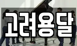 고려용달