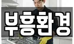 부흥환경