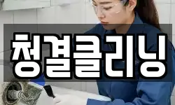 청결클리닝