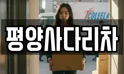 평양사다리차