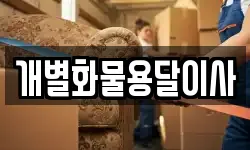 개별화물용달이사