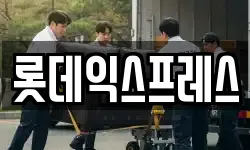 롯데익스프레스