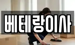 베테랑이사