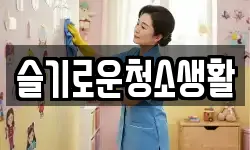 슬기로운청소생활