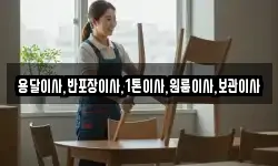 용달이사,반포장이사,1톤이사,원룸이사,보관이사