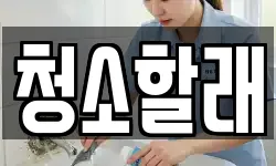 청소할래