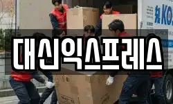 대신익스프레스