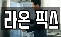 라온 픽스