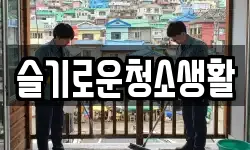 슬기로운청소생활