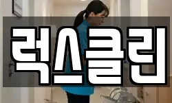 럭스클린