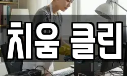 치움 클린