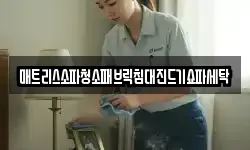 매트리스소파청소패브릭침대진드기쇼파세탁