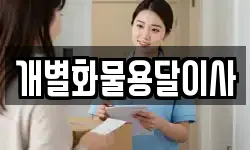 개별화물용달이사