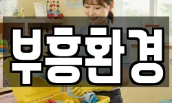 부흥환경