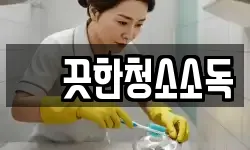 꺠끗한청소소독
